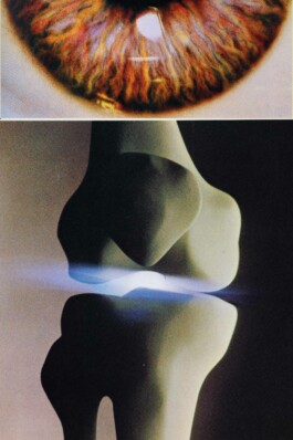 Poster 1 90x60 Low
