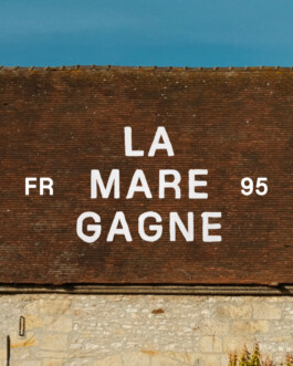 Frame 13