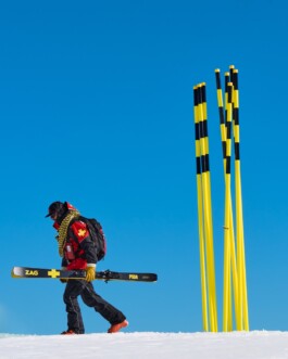 Zagskis 1777824006 3888991340792951776 217760230